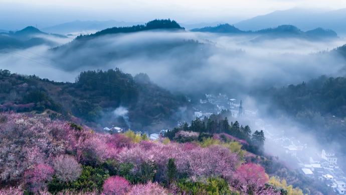 卖花车上看渔村