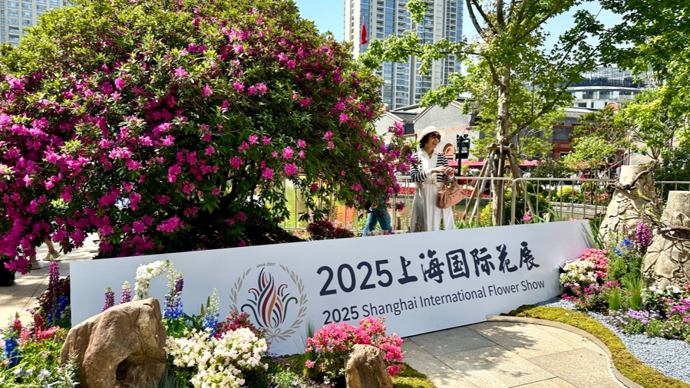 上海花展分会场