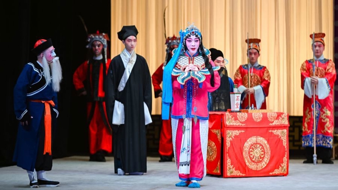 刘铮 舞蹈专业毕业 终成旦角演员