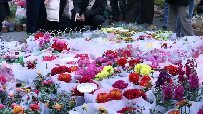 观见两会｜比“花鸟市场”更耐人寻味的东西