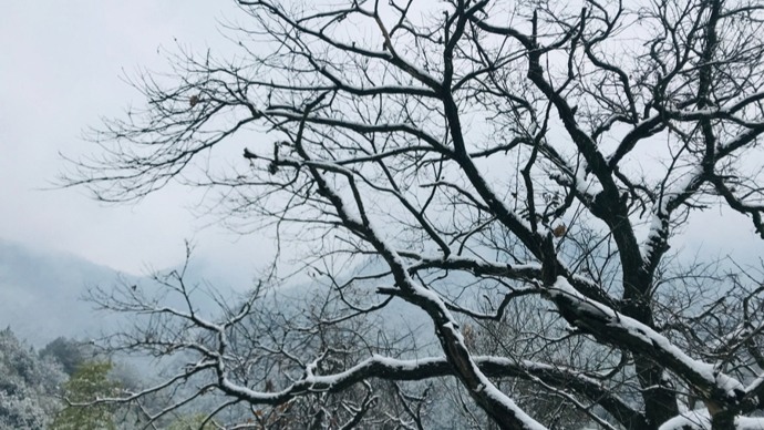 松三：南方的雪