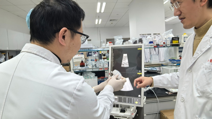 中国专家脑机接口研究获新突破：安全突破血脑屏障、精准提升药物入脑浓度