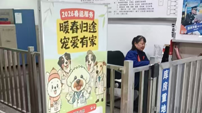 春运不忘特殊旅客，“毛孩子”也有自己的专属交通方案