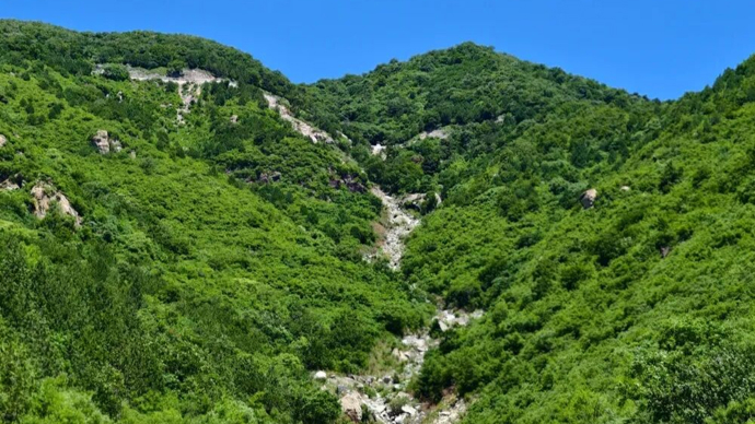 12岁小学生发现两栖动物足迹化石！填补亚洲地区相关研究空白
