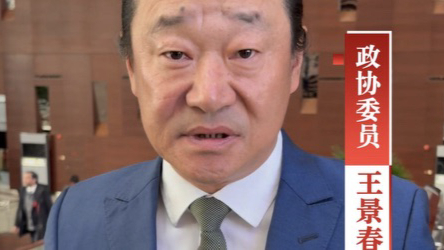 王景春委员：中国电影需要更多《菜肉馄饨》