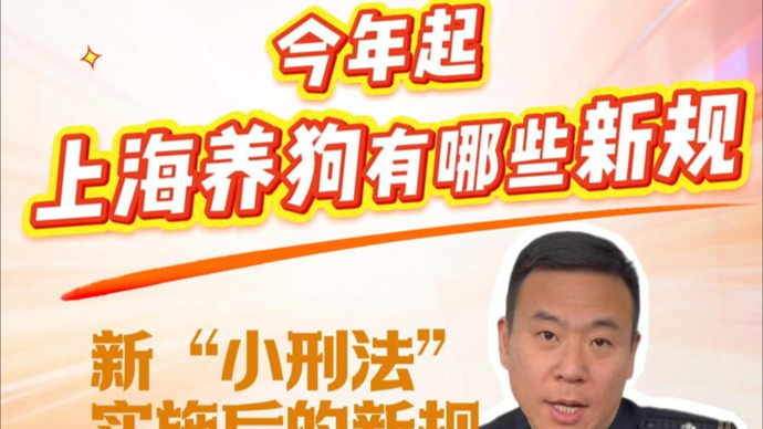 今年起，上海养狗有哪些新规？