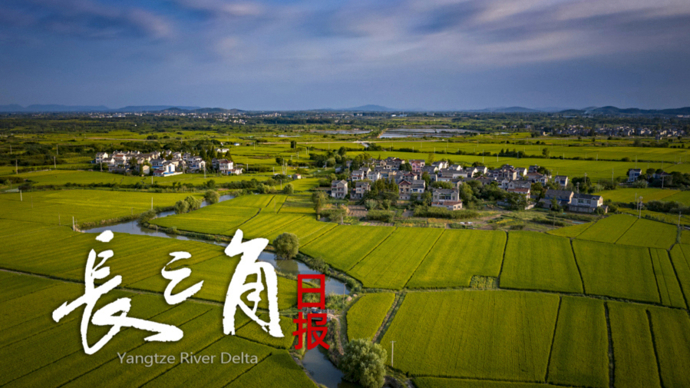 【长三角日报】“80后”蔡颖蔚，任扬州大学党委副书记