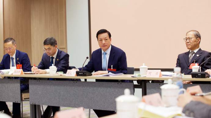 增强发展信心、汇聚各界合力，胡文容参加政协分组讨论