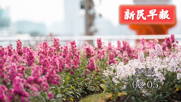 今天小雨，明天雨夹雪；家电补贴新增线下摇号|新民早报[2026.2.5]