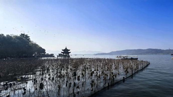 发票也可抽奖！浙江四个城市入围有奖发票试点城市