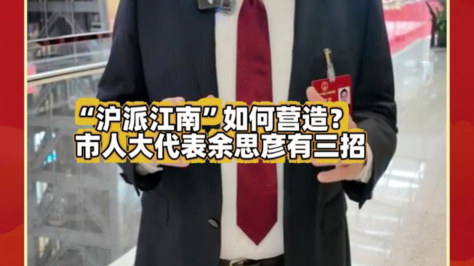 “沪派江南”建设如何避免“千村一面”？市人大代表这样说……