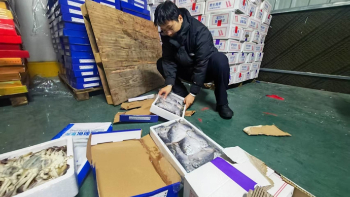 用冷冻海鲜“特价尾货”骗老人，实际全是劣质货！上海警方抓获13人
