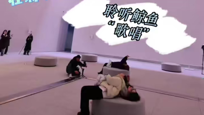 新春里，在浦东美术馆聆听“鲸歌”