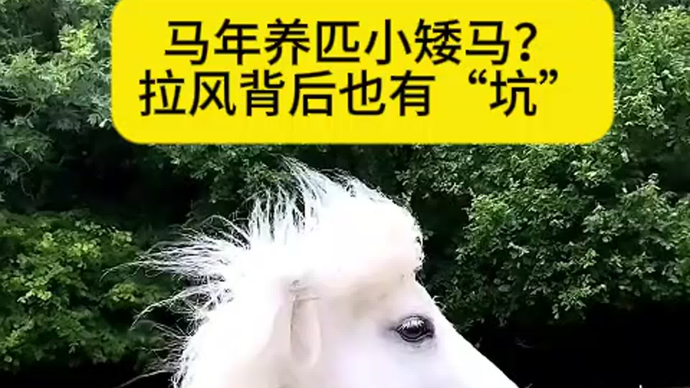 微言 | 马年养匹小矮马？拉风背后也有“坑”