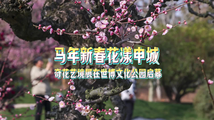 文汇视讯 | 马年新春花漾申城，奇花艺境展在世博文化公园启幕
