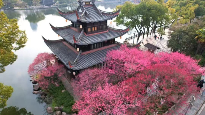 宁波：打卡4家景区，免费游26家