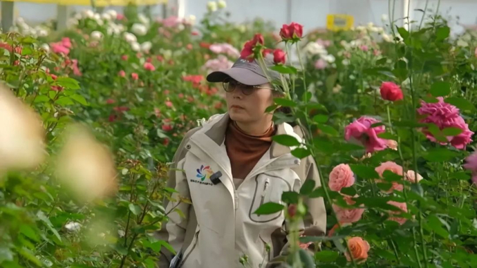 撒贝宁口中“如花似玉的二舅”，原来是她种的！