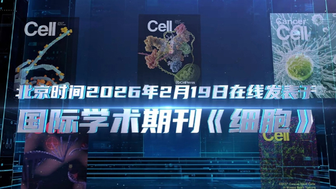 抗癌战斗力提升！改造T细胞“安检仪”，上海科学家再登《细胞》