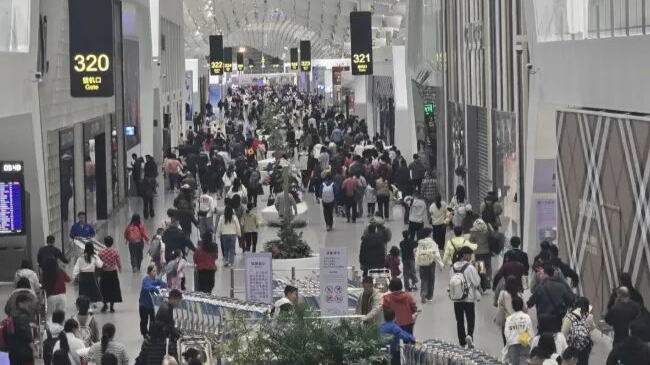 价格大跳水！有人称一家四口亏了4000元，网友纷纷感叹：都买早了！