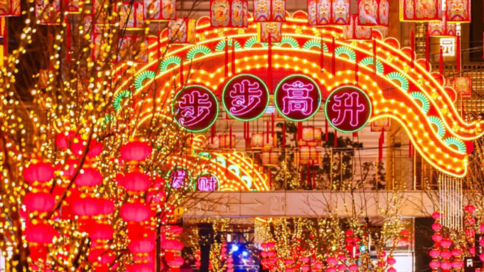 十日谈·文艺年货｜王丽娜：沪上春浓，满目佳景