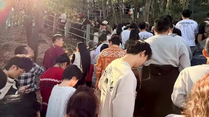 “前方无厕所、无烤肠、无茶叶蛋”，杭州“天下第一财神庙”劝返游客：回家吧