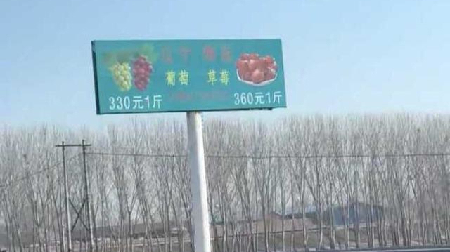 微言 | 360元一斤的草莓，噱头代替不了品质