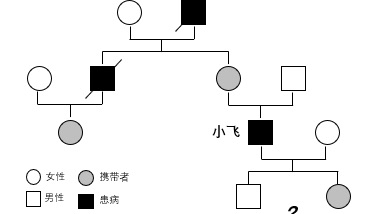 第医线｜我丈夫得了肾炎，为何医生要我们画家族图谱？