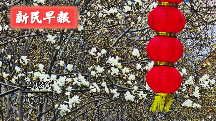 今天雨势增大；世纪公园新添宠物乐园 | 新民早报[2026.3.1]