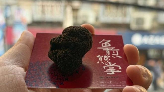 世界餐桌上，中国的话语权已从“好食材”开始