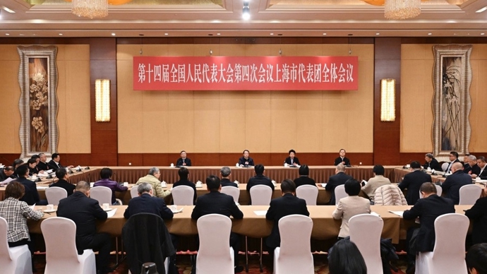 全国人大上海代表团组团，推选黄莉新为团长，龚正迟耀云为副团长