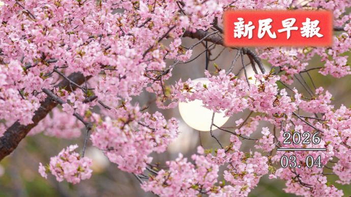 最低5-7℃；妇女节上海乐园半价等福利一览|新民早报[2026.3.4]