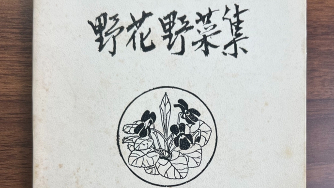 “你的船独白了”