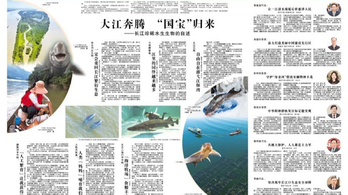 【全国两会联动报道】大江奔腾 “国宝”归来——长江珍稀水生生物的自述
