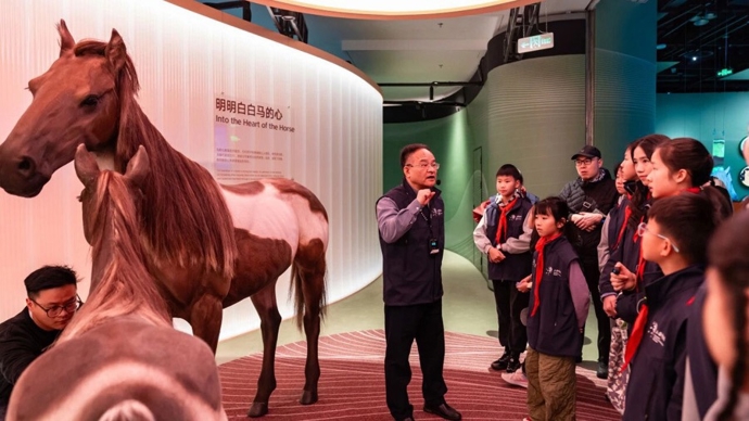 沉浸式体验奇骥奔腾，解锁上海科技馆隐藏玩法