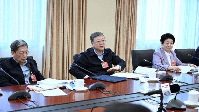 上海代表团举行小组会议，审议生态环境法典草案等三部法