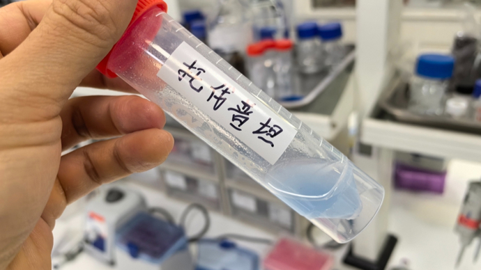 “全球购”进口药调查：来路不明的印度仿制药，为何能在电商平台公开卖？