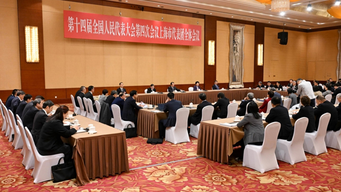 上海代表团向大会提交议案3件、建议142件
