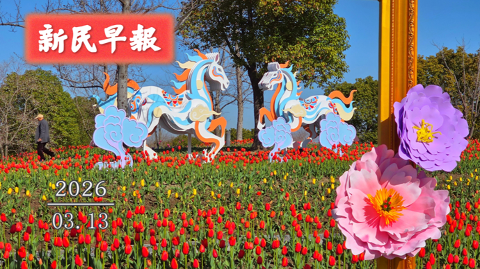 今日天气晴好；上海德云社即将开业|新民早报[2026.3.13]