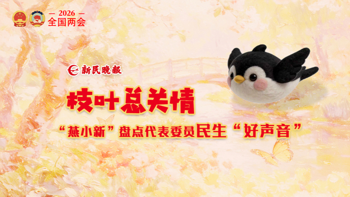 AI视频！盘点代表委员民生“好声音”｜京华小燕子