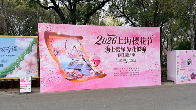 樱花季，顾村公园商拍扎堆成“树霸”！市民建议加强管理和规范