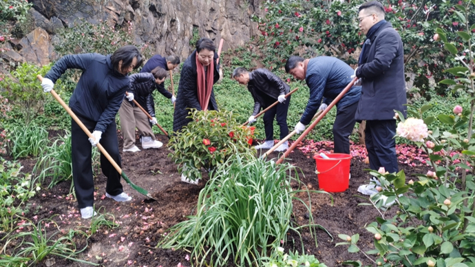 上海公园双喜临门：国家植物园获批在即，芳香山茶花谷开放