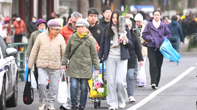 上海即将进入清明祭扫高峰，民政发布便民指南