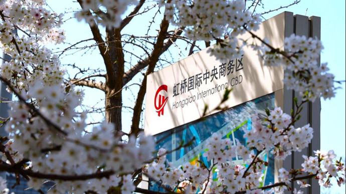 大虹桥全力打造服务企业“走出去”先行区，让中企带着信心走向世界！