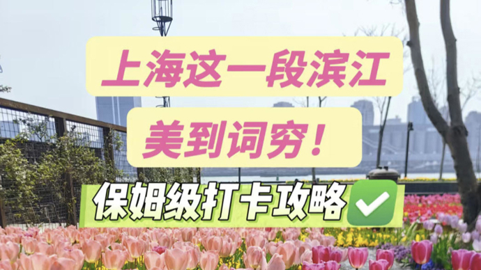 人少景美！上海这一段滨江美到词穷！网友盛赞“上大分”！