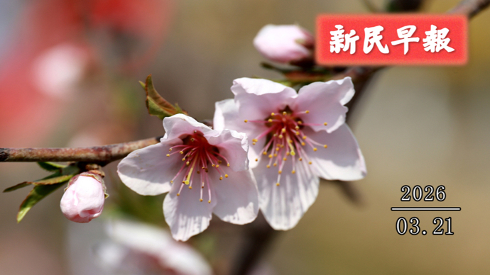 今天直冲20℃；官方解读养老服务消费补贴|新民早报[2026.3.22]