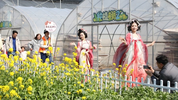 当田园成为社区会客厅，沪郊山阳镇以24节气为脉络打造“家门口的诗意生活”