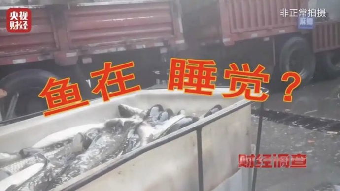 比活鱼“休眠”更可怕的，是整个市场都在“装睡” | 锋面评论
