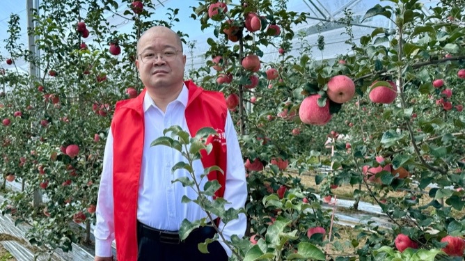 王文东：我有两块“责任田”，苹果和写作都是甜蜜的事业｜新大众文艺·艺中人
