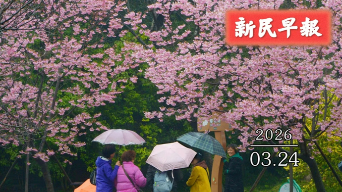 雨雨雨又来了；“幽灵外卖”有奖举报 | 新民早报[2026.3.24]