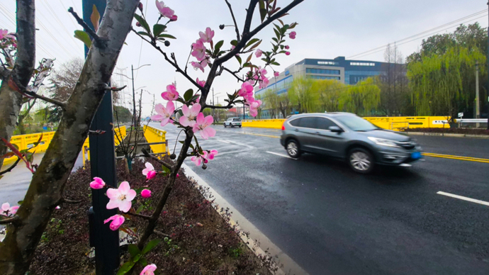 【场面】芦蔡北路改造竣工，出行再提速